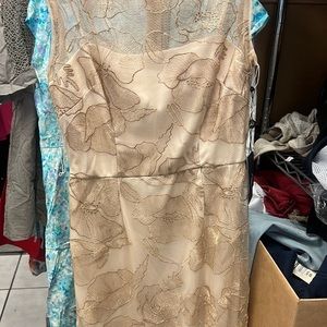 Adrianna Papell dress